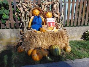Najlepše urejena domačija na temo jesen in buče 16